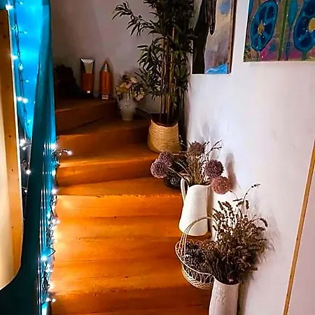 Labyrinth Holiday home Mirepoix (Ariege)
